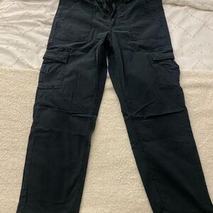 American Eagle Outfitters Dark Cargo Pants